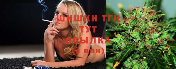 a pvp Алзамай