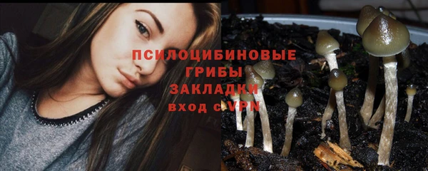 синтетический гашиш Алексеевка