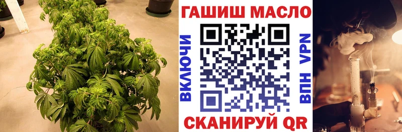 ТГК THC oil  Дно 